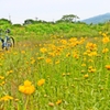 自転車操業始めました ＜10＞