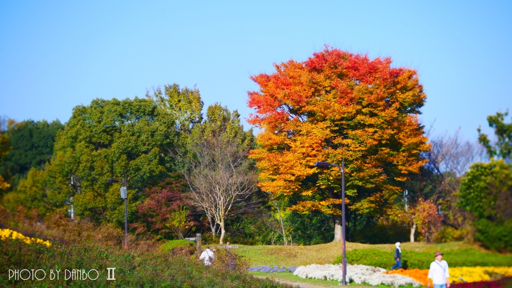 公園にて ＜3＞