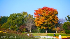 公園にて ＜3＞