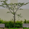ひとやすみ ＜10＞