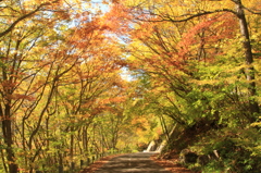 2014　松川渓谷の紅葉