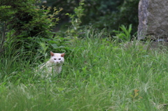 何かよう？