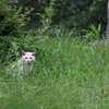 何かよう？