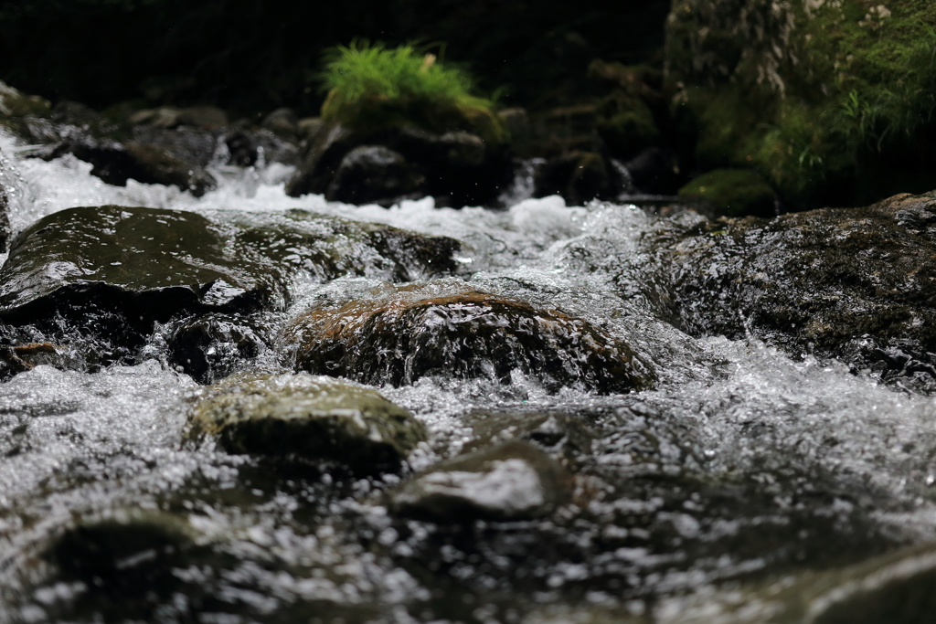 桐生梅田の清流3