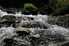 桐生梅田の清流3