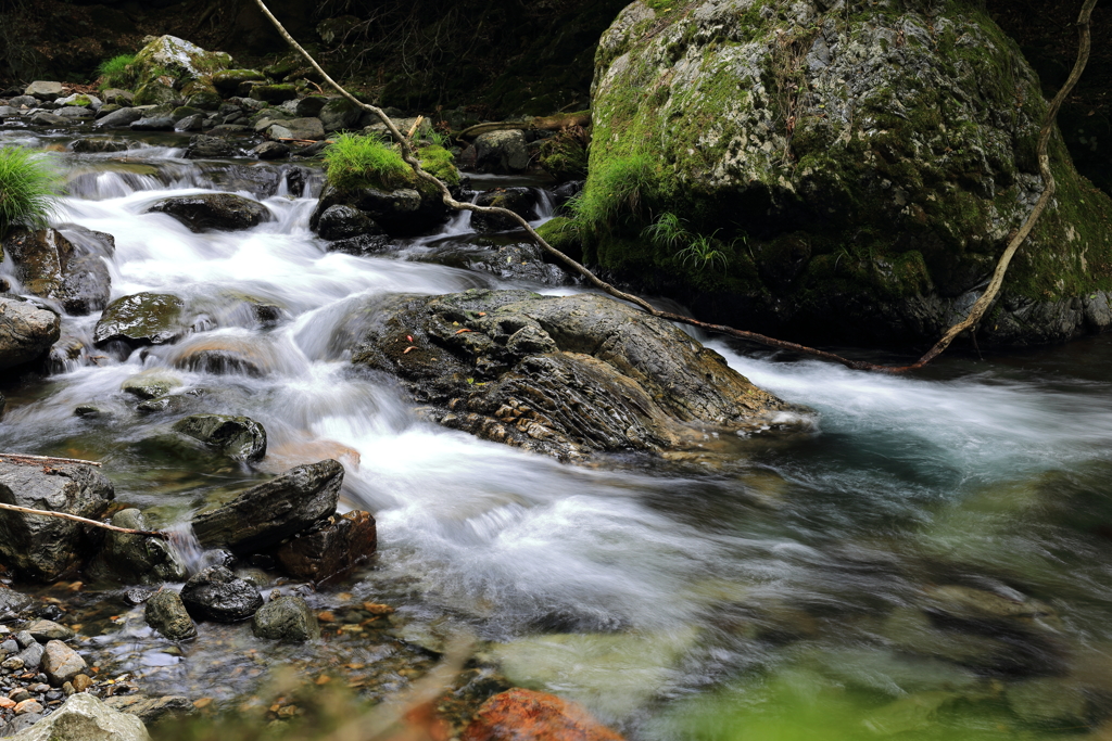 桐生梅田の清流2