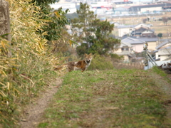 P1113709