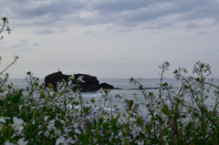 神話の島