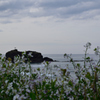 神話の島