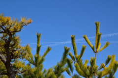 vapor trail X