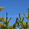 vapor trail X