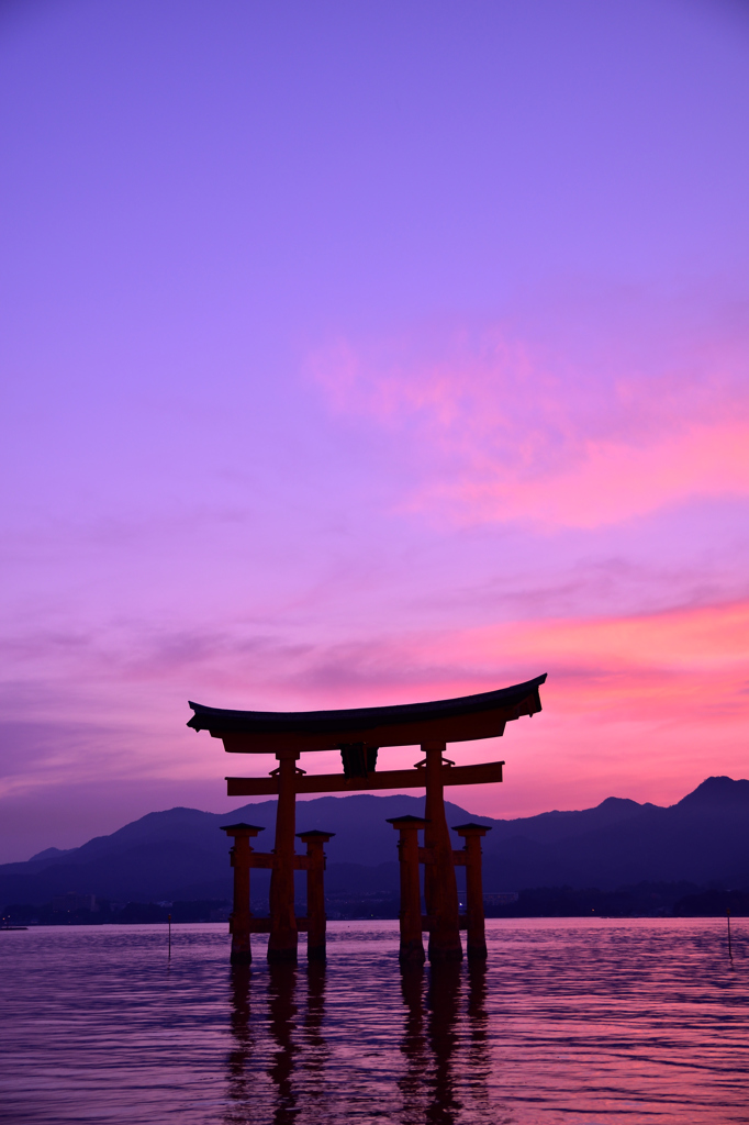 朱に染まる