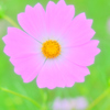 ぽわわわ～ん