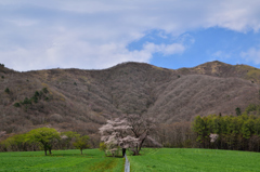 未だ山笑わず