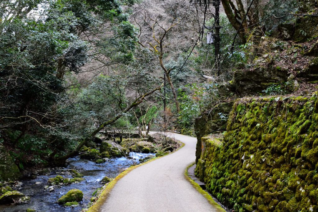 歩いてきた道