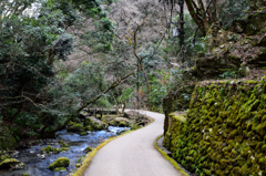 歩いてきた道
