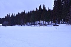 雪原