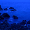 夜の岬