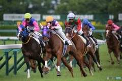 阪神競馬場