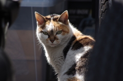 IMGP0281