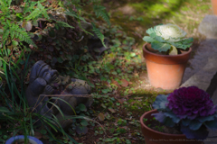 花ニ陽ガ当タリテ大黒様笑フ