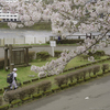 「私たち野球やりましょ！」