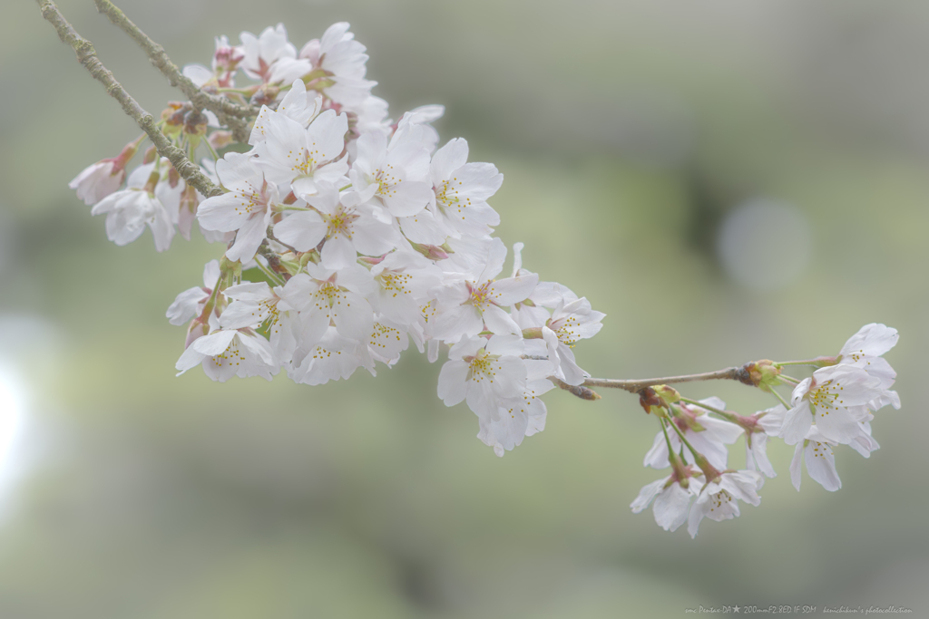 Spring has come !!