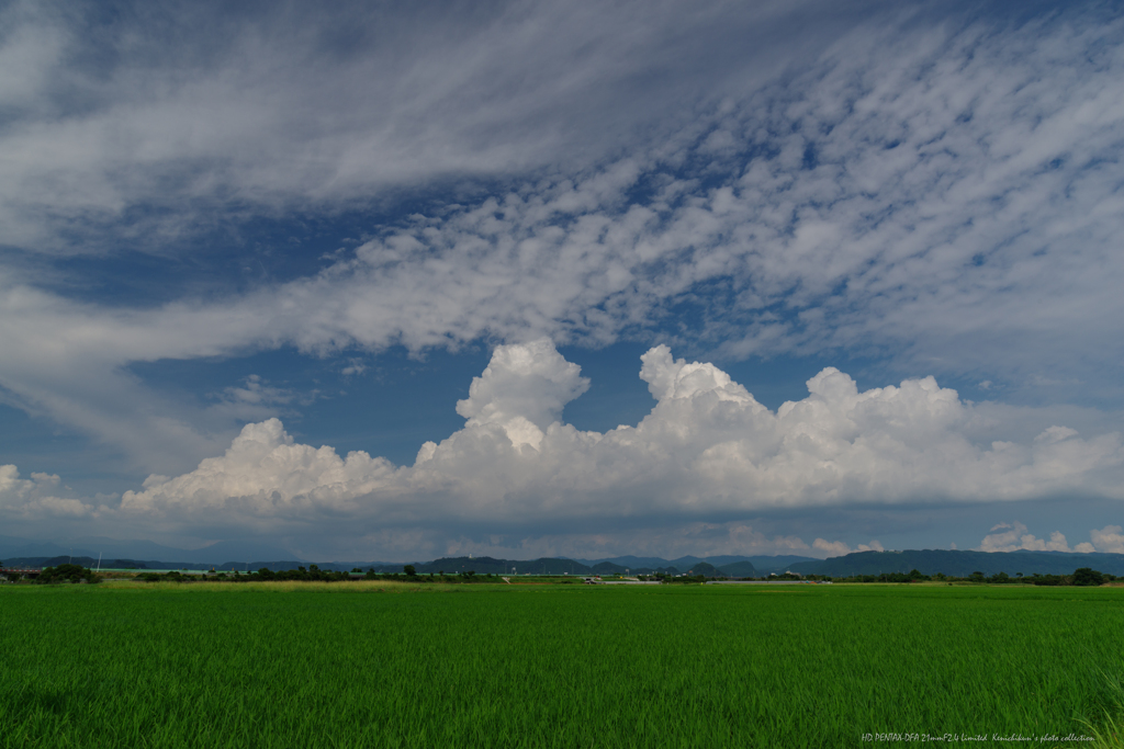 夏だなあ・・・