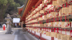 巫女歩く梅の天満宮