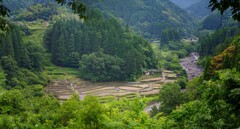 山間の棚田