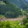 山間の棚田