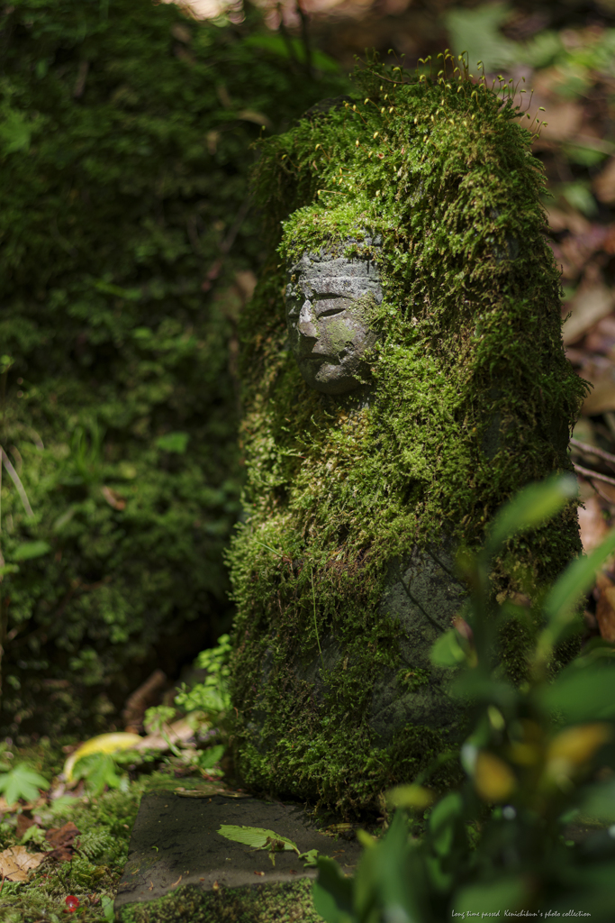苔むすまで