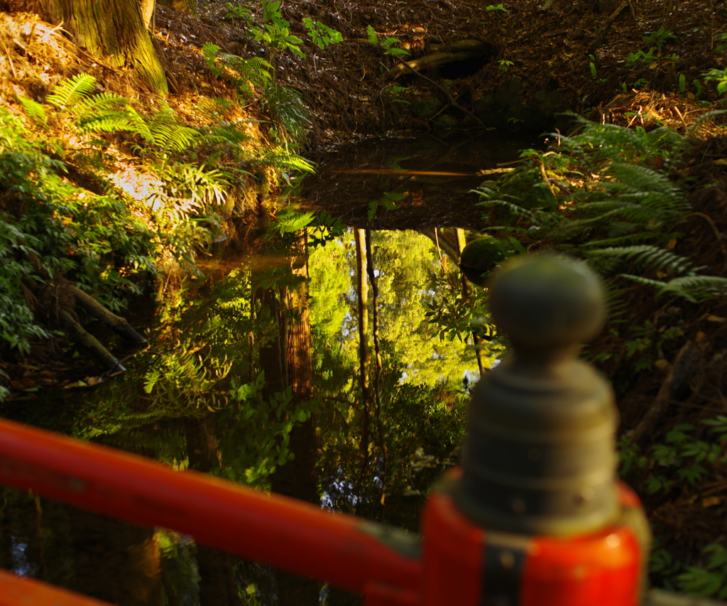 狭野神社水面ノ図