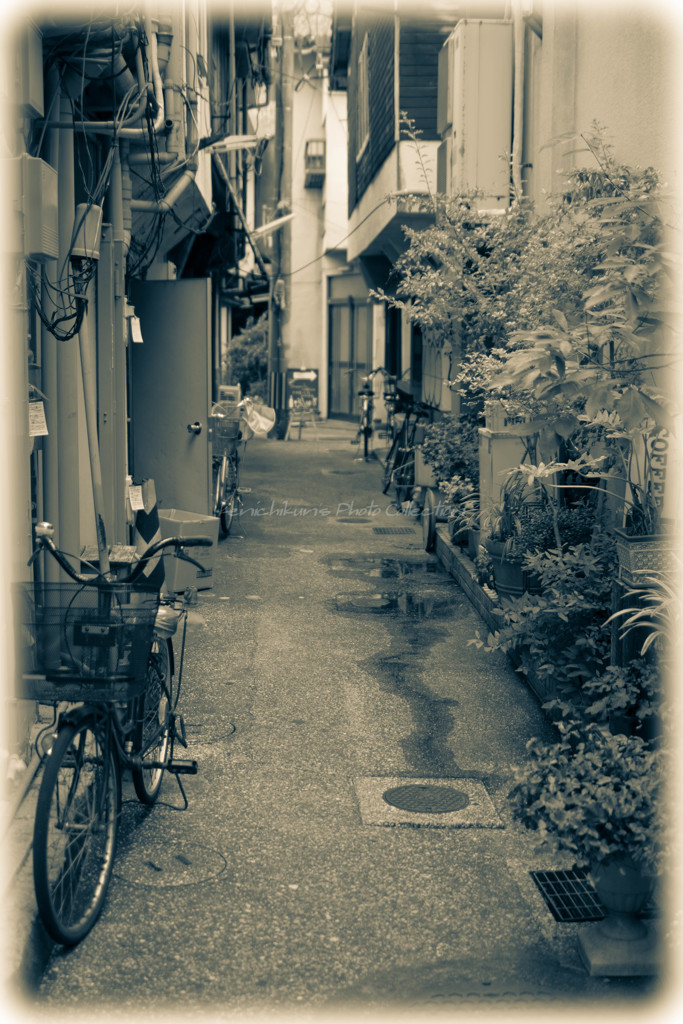 路地裏