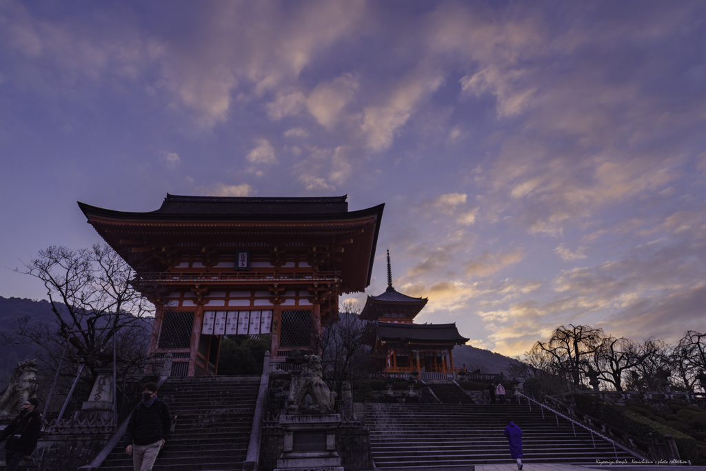 早朝の寺院