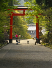 鳥居の下で