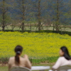 菜の花の前で