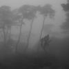 霧立つ森へ