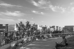 「秋の空ね」と君は眺む