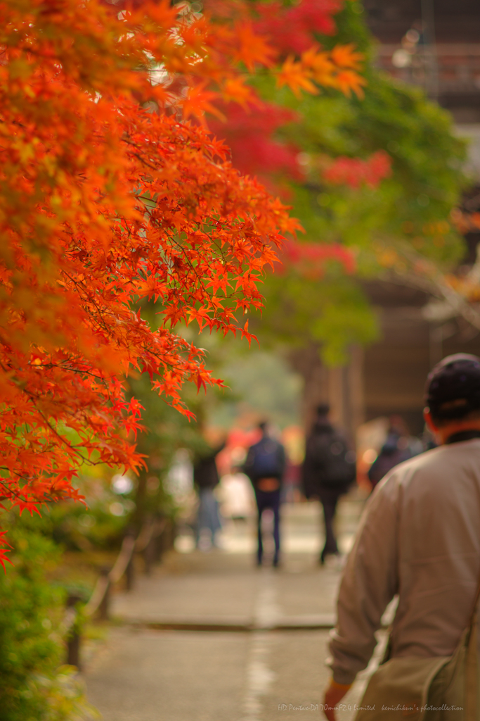 南禅寺へ向かう 