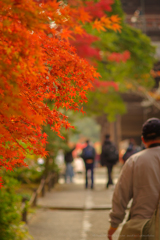 南禅寺へ向かう 