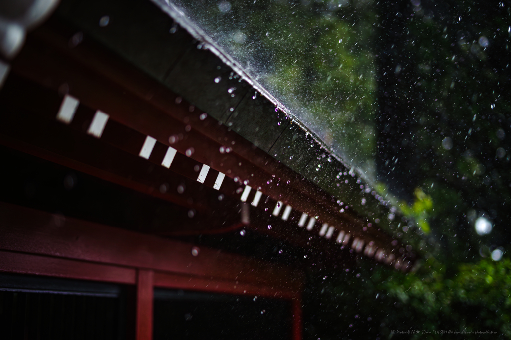 強雨でござる