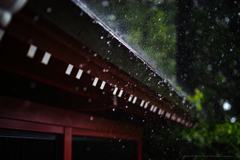 強雨でござる