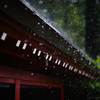 強雨でござる