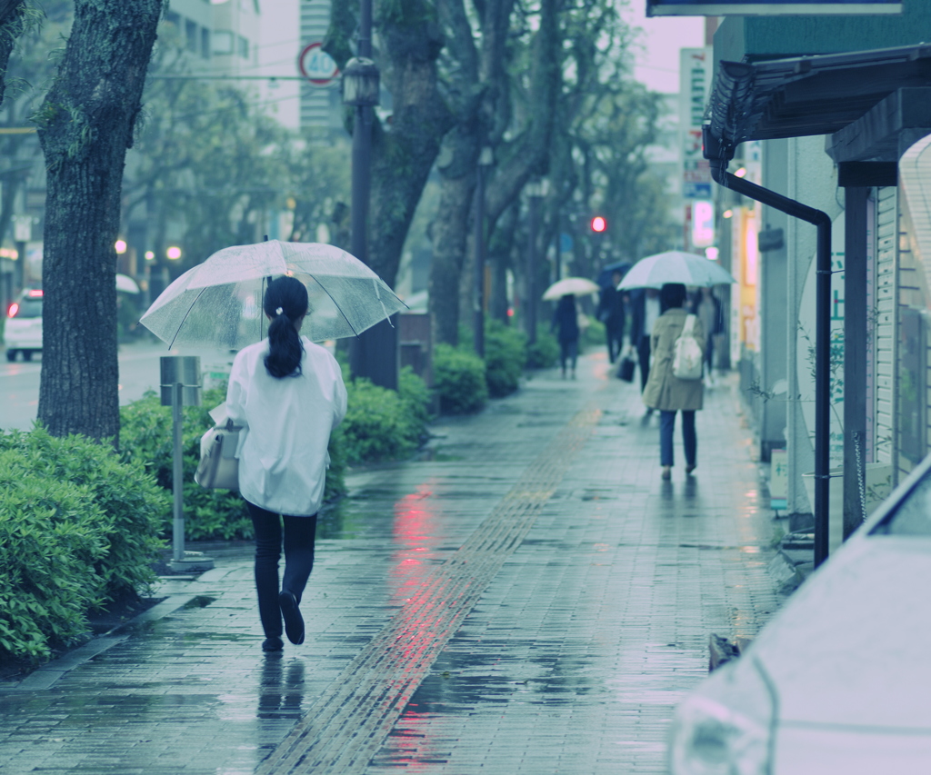 春の雨