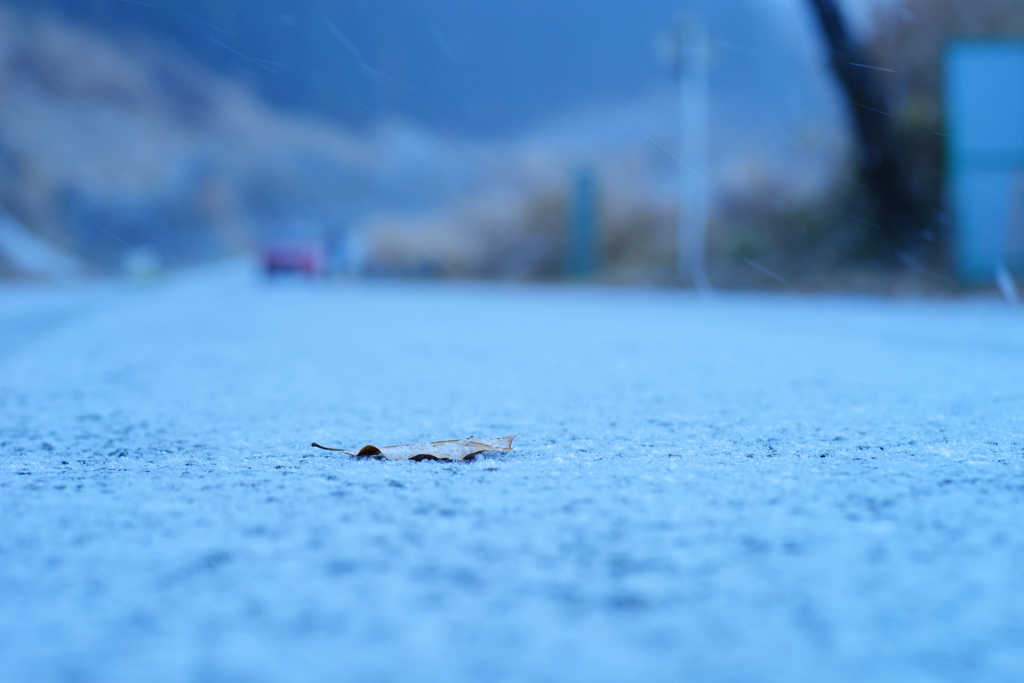 雪降り始め