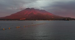 赤桜島