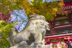 秋の北岡神社