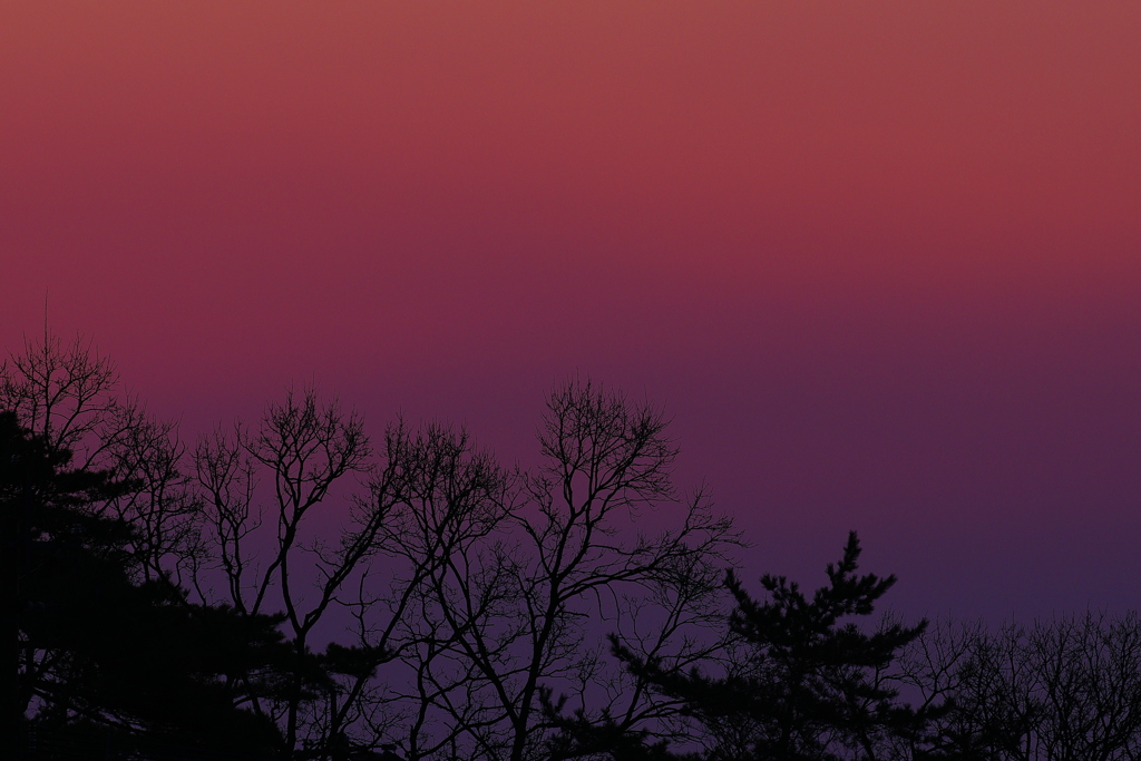 グラデーション