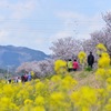 南足柄の幸せ道